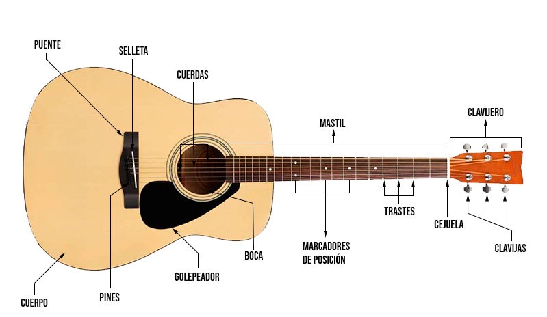 partes de una guitarra acustica